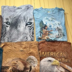 Lot of 6 The Mountain Nature Wildlife T Shirt Bundle Eagle Animal Outdoors