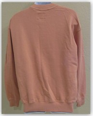 Come Together Graphic Crew Pullover Sweatshirt S M XL APRICOT Goodfellow & Co.