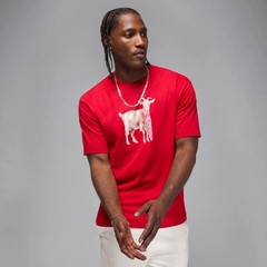 Nike Air Jordan GOAT Jumpman 23 Bulls Graphic T-Shirt Red Men’s Sz M New