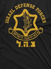 IDF Israel Defense Forces Shirt Israeli Army Shirt Israel Support Shirt
