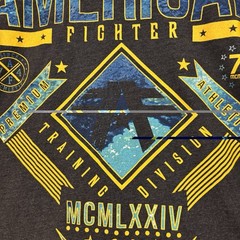 American Fighter Men’s Large T-Shirt LANDER Athletic Biker GYM Dark Grey MMA