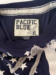 Pacific Blue Distressed Look Eagle Over American Flag Tee Stars And Stripes XL
