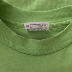 Vintage Hanes Beefy T Mens Shirt XL Green Single Stitch Tokyo Express 1991