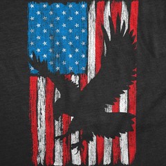 Mens Eagle In Flag Awesome T Shirt Fourth Of July Graphic Tee for Men