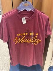 Universal Studios Epic Universe Harry Potter Must Be A Weasley Shirt NWT
