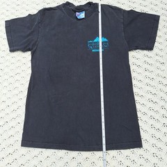 Vtg Access Fund Rock Climbing Nature Preservation Graphic T Shirt Black – Small