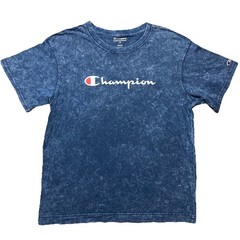 Champion Script Logo T Shirt Mens L Blue Mineral Wash Heritage