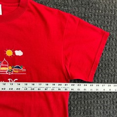 Vintage Washington DC T Shirt Embroidered Delta Magnum Weight L Red 90s y2k