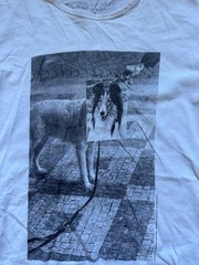 Karlovy Vary International Film Festival 2017 Václav Jirásek Studio Najbrt Tee S