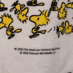 American Red Cross Woodstock T Shirt 2025 Sz. Adult S Peanuts, Snoopy