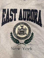 Vintage 1992 Hanes East Aurora New York Tshirt Medium USA Single Stitch