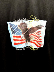 Land Of The Free, Home Of The Brave, Men’s Black T-Shirt American Flag, Size L