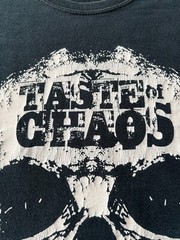 Vintage 2007 Taste of Chaos Music Festival Black T-shirt Sz M