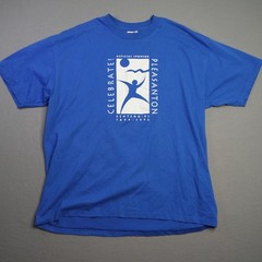 Vintage Hanes Shirt Mens XL Heavyweight 50/50 Single Stitch 90s Retro Blue