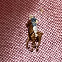 Ralph Lauren BLAKE Oxford Shirt L Short Sleeve Blue Stripes Used For 14Y+ Japan