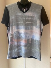 Buffalo David Bitton Men’s S Gray Black Florida Graphic V-Neck T-Shirt