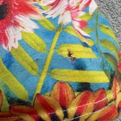 Neff Floral Tropical Summer Tank Top Mens Medium Multicolor Polycotton Hawaiian