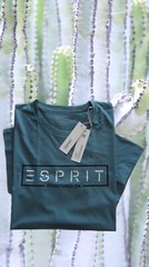 Esprit Mens T-Shirt 3XL, 4XL, 5XL Turquoise, Dove Blue, Cotton, Cotton