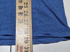 Vintage 2000s Y2K Detroit Lions Retro 40s 50s Logo Blue Graphic M T-Shirt 2009
