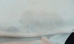 Vintage Minnesota Raglan T-Shirt Duck Sanctuary Nature Wildlife Tourist 1980’s