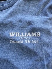 Williams Arizona Vintage Tee Shirt Baby Blue Souvenir Cotton