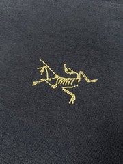 VERY RARE ARC’TERYX 1999 VINTAGE ARCHAEOPTERYX Y2K GRAIL CENTER LOGO T SHIRT