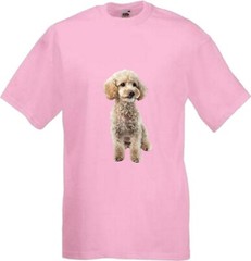 Miniature Poodle White Dog Pet Family Novelty T Shirt Various Colours And Sizes