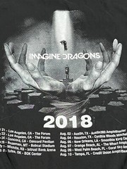Imagine Dragons Evolve World Tour 2018 Concert Band T Shirt Medium Black M L