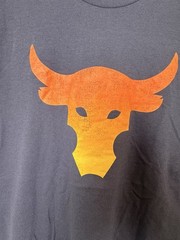 #E136 Under Armour Project Rock Brahma Bull Blue Orange Mens Medium