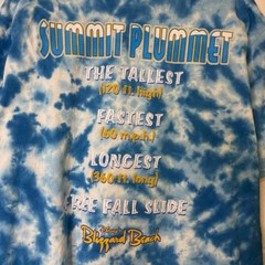 Vintage 90’s Disney Blizzard Beach T-shirt All Over Print AOP Summit Plummet