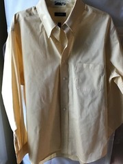 Izod Button down shirt size 17-34/35 easy care