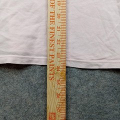 Everlane Shirt Mens XS Pink Supima Cotton Crewneck Tee Made In USA Basic