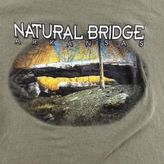 VTG Arkansas Natural Bridge Shirt Mens Medium Green Bayside Nature Outdoors 8545