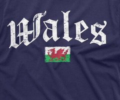 Wales Flag T-Shirt Wales National Tee Welshman Gift Ideas Patriotic Wales Shirt