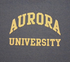 Vtg Lg FOTL Blue Aurora University Collegiate Spellout T Shirt