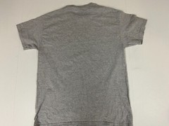 Florida Rooms MEns shirt Medium gray graphic funny