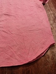 Hollister Men’s Salmon Must Have Collection Curved Hem T-shirt Size Large