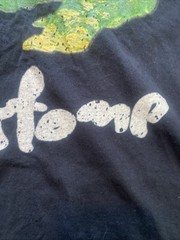 Vintage Silverchair Frog stomp Tour T-shirt Unisex Tee Extra Large Rock Pop