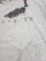 Vintage 90s Great Smoky Mountains Large Gatlinburg Tennessee Nature T Shirt