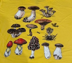 1 or 5 Pack Men’s Earthbound Trading Co. Mushroom Forest Fungi T-Shirt Yellow XL
