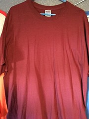 t-shirt To QUILT Human Finish Devine Quilting AQS Fabric custom stitch fat 1/4
