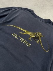 VERY RARE ARC’TERYX 1999 VINTAGE ARCHAEOPTERYX Y2K GRAIL CENTER LOGO T SHIRT