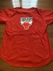 Rare Deadstock Vintage 80s Chicago Bulls 2 Piece Shirt And Shorts