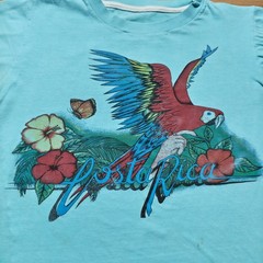 Vintage 90s Costa Rica Scarlet Macaw Parrot Hibiscus Graphic T-Shirt – Medium
