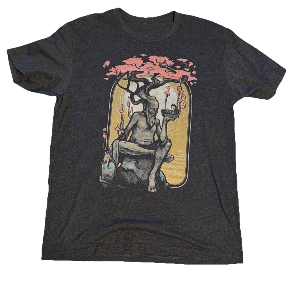 Dryad Multicolor on Heather Black Triblend Unisex Large