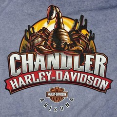 Vintage Harley Davidson Shirt Mens XL Blue Chandler Arizona Scorpion Graphic Tee