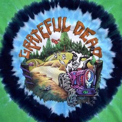 GRATEFUL DEAD-HIGHGATE-VT-BEARS-2 Side-TIE DYE T-SHIRT S-M-L-XL-XXL Garcia,Wier