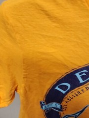 Anvil Lightweight Adult Medium Yellow Hook Print Destin, Florida T-shirt