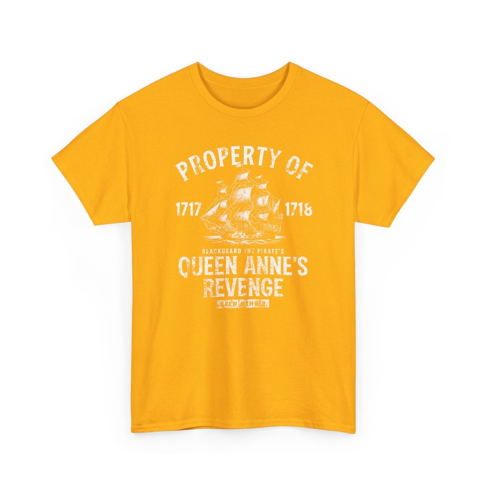 Queen Anne’s Revenge Ship Graphic T-Shirt Pirate Ship 1717 1716