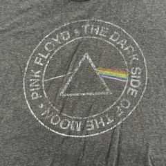 Pink Floyd Dark Side of the Moon Graphic Tee Mens M Charcoal Gray Distressed
